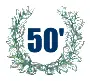 Fiftieth anniversary